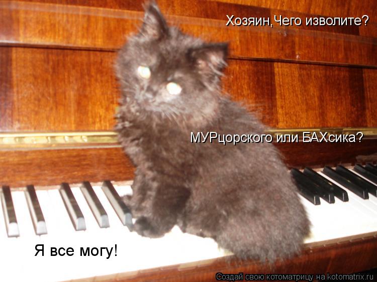Котоматрица: Хозяин,Чего изволите? МУРцорского или БАХсика? Я все могу!