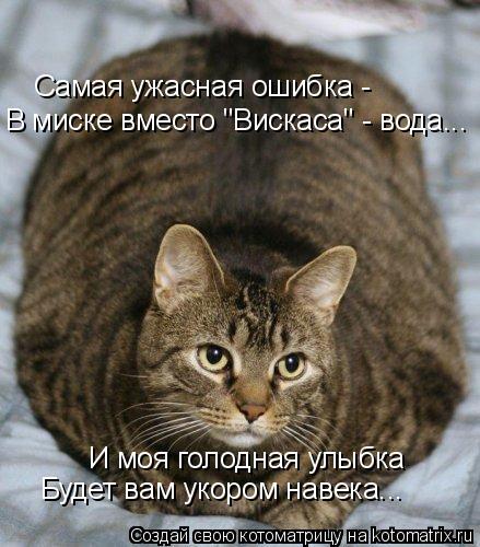 Котоматрица: И моя голодная улыбка Будет вам укором навека... Самая ужасная ошибка -  В миске вместо "Вискаса" - вода...