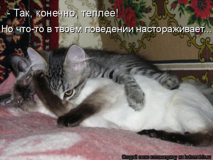 - Так, конечно, теплее! Но что-то в твоём поведении настораживает...... Котоматрица: - Так, конечно, теплее! Но что-то в твоём поведении настораживает...