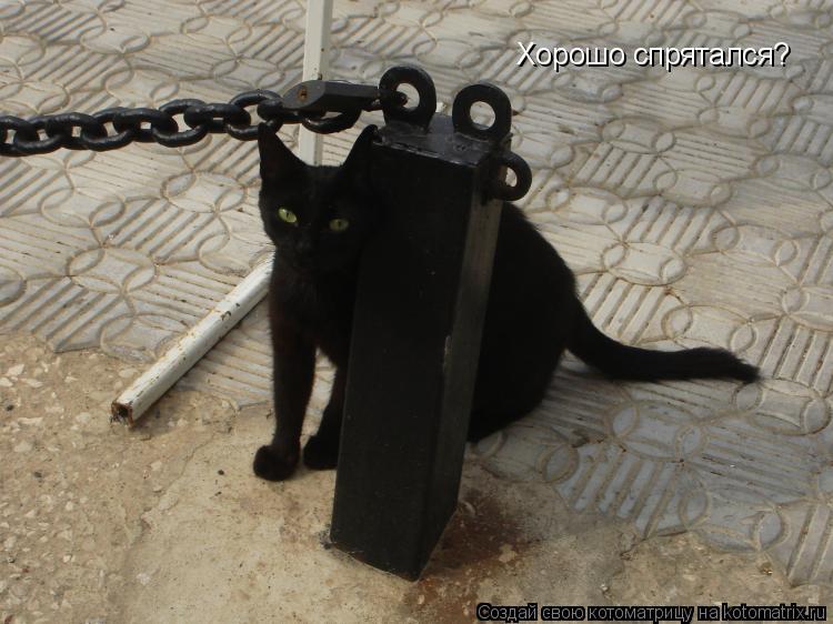 Котоматрица: Хорошо спрятался?