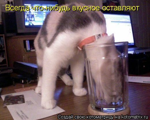 Котоматрица: Всегда что-нибудь вкусное оставляют