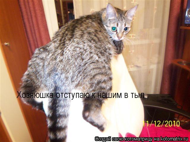 Котоматрица: Хозяюшка отступаю к нашим в тыл