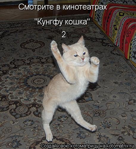 Котоматрица: Смотрите в кинотеатрах "Кунгфу кошка" 2
