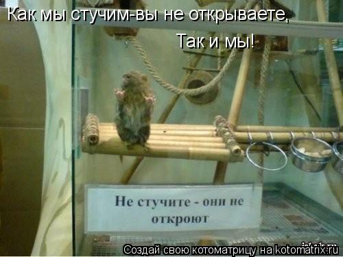 Котоматрица: Как мы стучим-вы не открываете, Так и мы!