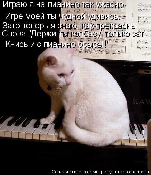 Котоматрица: Игре моей ты чудной удивись. Играю я на пианино так ужасно Зато теперь я знаю, как прекрасны Слова:"Держи ты колбасу, только зат Кнись и с пиа