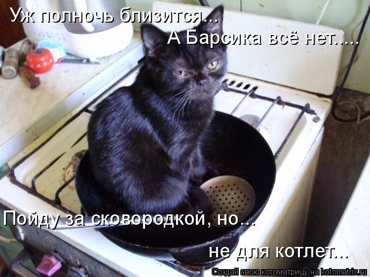 Уж полночь близится... А Барсика всё нет..... Пойду за сковородкой, но... не для котлет...... Котоматрица: Уж полночь близится... А Барсика всё нет..... Пойду за сковородкой, но... не для котлет...