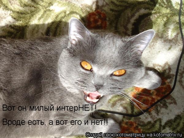 Котоматрица: Вот он милый интерНЕТ! Вроде есть, а вот его и нет!!