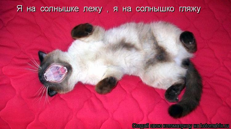 Котоматрица: Я  на  солнышке  лежу  ,  я  на  солнышко  гляжу