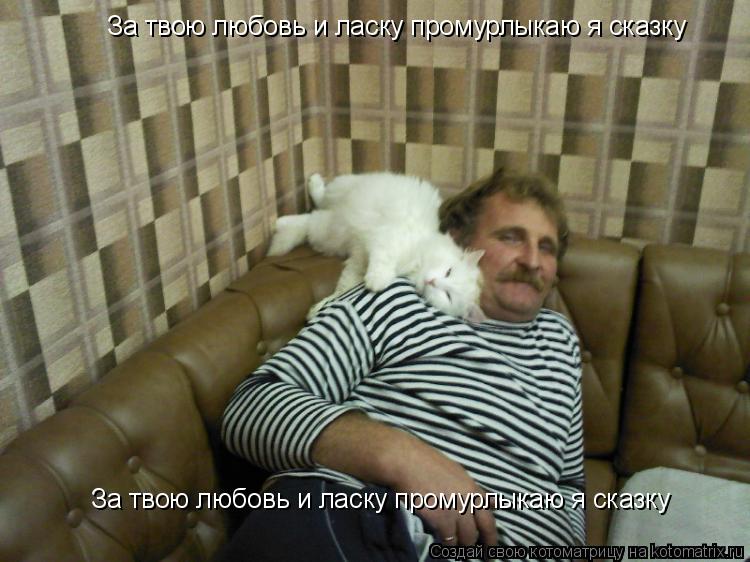 Котоматрица: За твою любовь и ласку промурлыкаю я сказку За твою любовь и ласку промурлыкаю я сказку