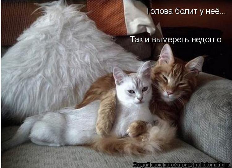 Котоматрица: Голова болит у неё... Так и вымереть недолго