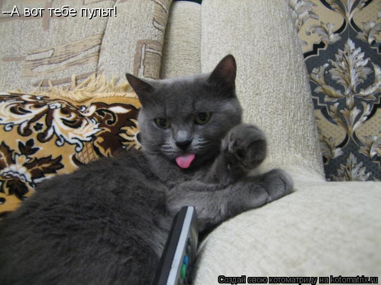Котоматрица: --А вот тебе пульт!