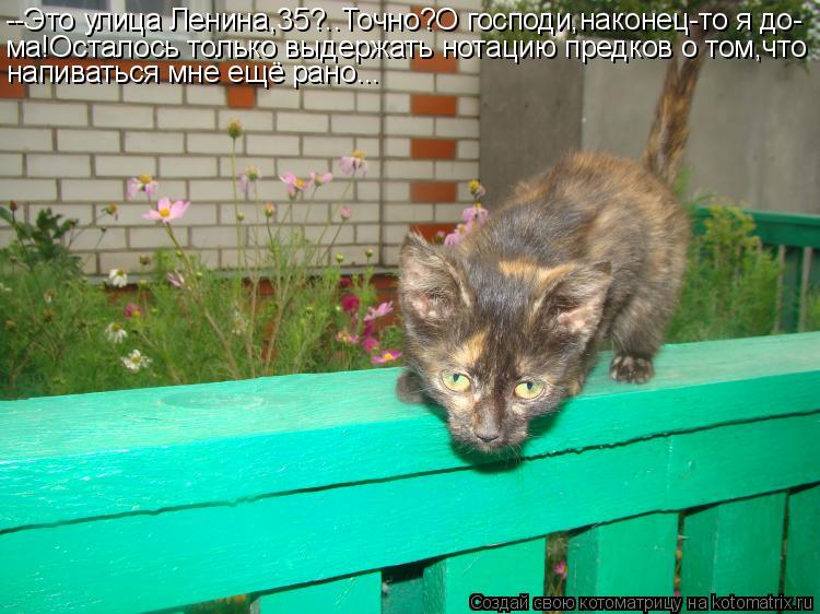 Котоматрица: --Это улица Ленина,35?..Точно?О господи,наконец-то я до- ма!Осталось только выдержать нотацию предков о том,что напиваться мне ещё рано...