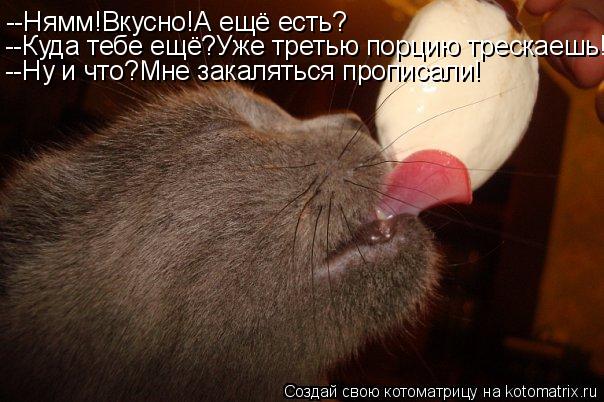 Котоматрица: --Нямм!Вкусно!А ещё есть? --Куда тебе ещё?Уже третью порцию трескаешь! --Ну и что?Мне закаляться прописали!