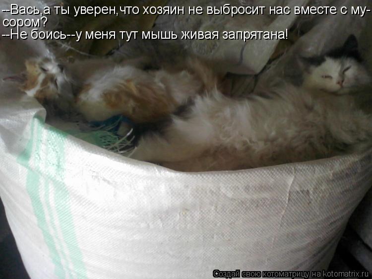 Котоматрица: --Вась,а ты уверен,что хозяин не выбросит нас вместе с му- сором? --Не боись--у меня тут мышь живая запрятана!