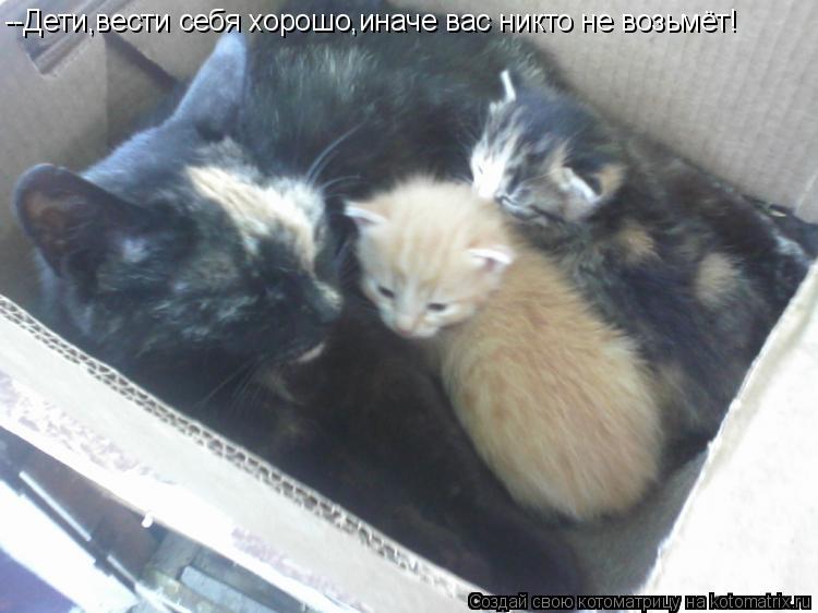 Котоматрица: --Дети,вести себя хорошо,иначе вас никто не возьмёт!