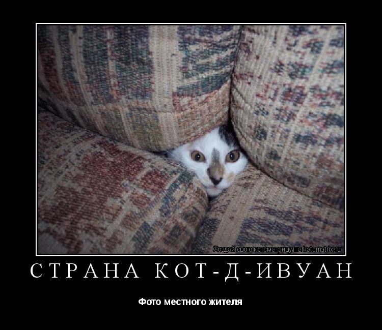 Котоматрица: Страна Кот-Д-Ивуан Фото местного жителя