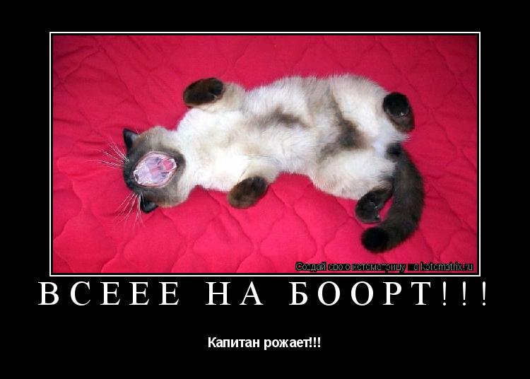 Котоматрица: Всеее на боорт!!! Капитан рожает!!!