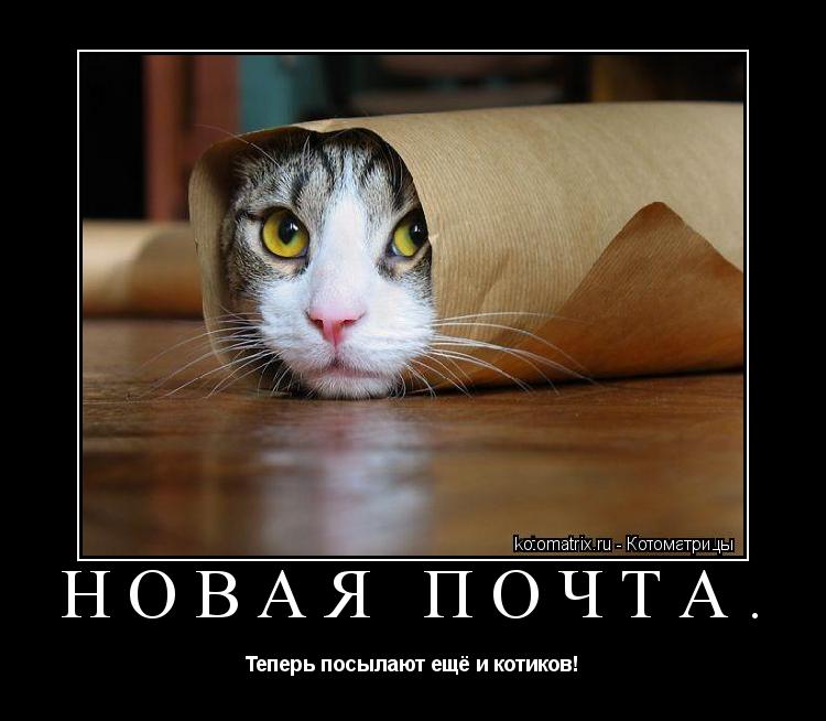 Котоматрица: Новая почта. Теперь посылают ещё и котиков!
