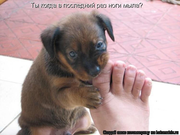 Котоматрица: Ты когда в последний раз ноги мыла?