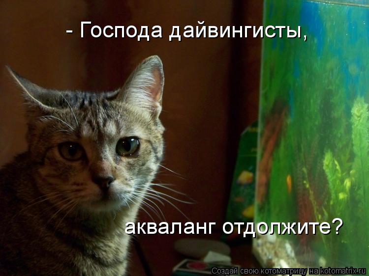 Котоматрица: - Господа дайвингисты, акваланг отдолжите?