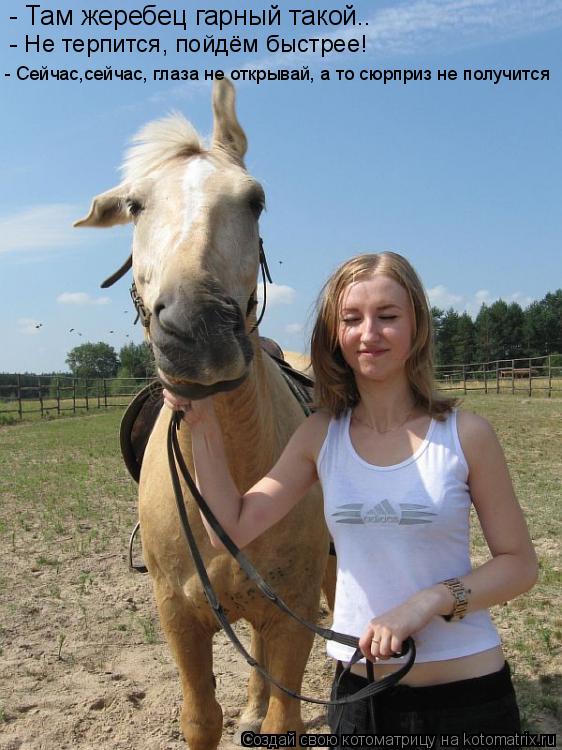 Котоматрица: - Там жеребец гарный такой.. - Сейчас,сейчас, глаза не открывай, а то сюрприз не получится - Не терпится, пойдём быстрее!