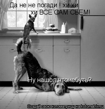Котоматрица: Ну нашол чтонебуть? Да не не погади ! хи хи  хи ВСЕ САМ СЬЕМ!