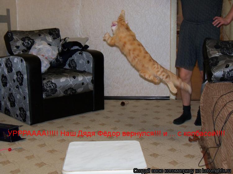 Котоматрица: УРРРАААА!!!!! Наш Дядя Фёдор вернулся!!! и ... с колбасой!!!!