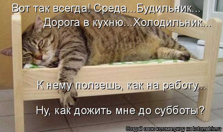 Прикол среда открытки 64