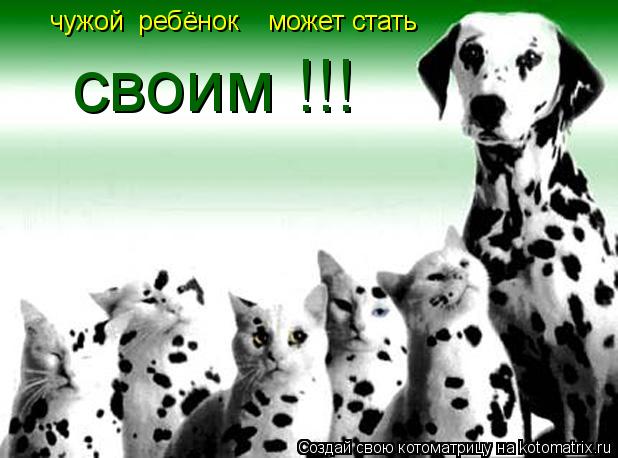 Котоматрица: своим !!! чужой  ребёнок    может стать