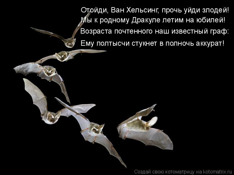 Котоматрица: Отойди, Ван Хельсинг, прочь уйди злодей! Мы к родному Дракуле летим на юбилей! Возраста почтенного наш известный граф: Ему полтысчи стукнет 