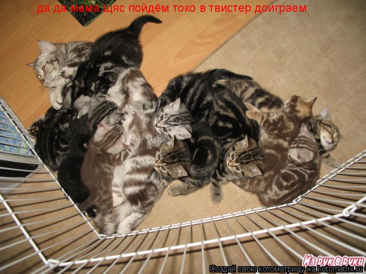 Котоматрица: да да мама щяс пойдём токо в твистер доиграем