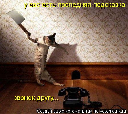 Котоматрица: у вас есть последняя подсказка звонок другу...