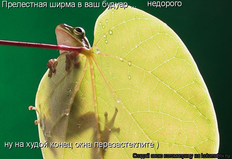 Котоматрица: Прелестная ширма в ваш будуар ...   недорого ну на худой конец окна перезастеклите )