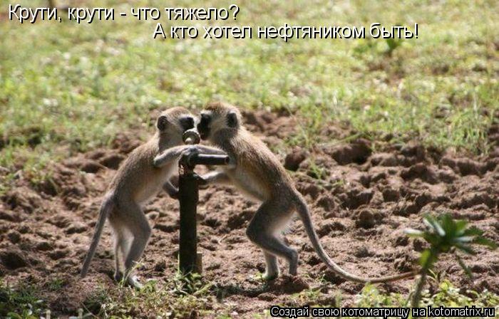 Котоматрица: Крути, крути - что тяжело? А кто хотел нефтяником быть!