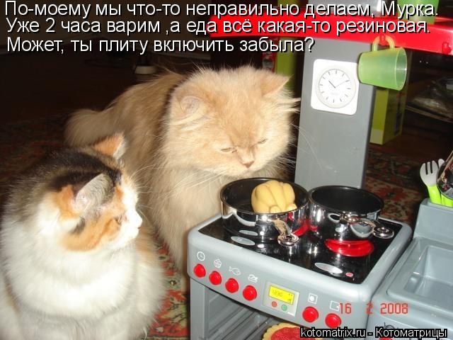 Котоматрица: По-моему мы что-то неправильно делаем, Мурка. Уже 2 часа варим ,а еда всё какая-то резиновая. Может, ты плиту включить забыла?