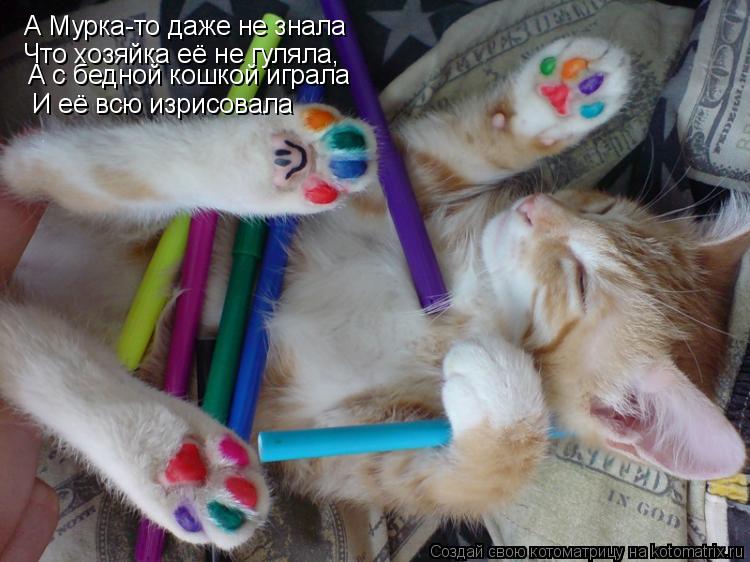 Котоматрица: А Мурка-то даже не знала Что хозяйка её не гуляла, А с бедной кошкой играла И её всю изрисовала