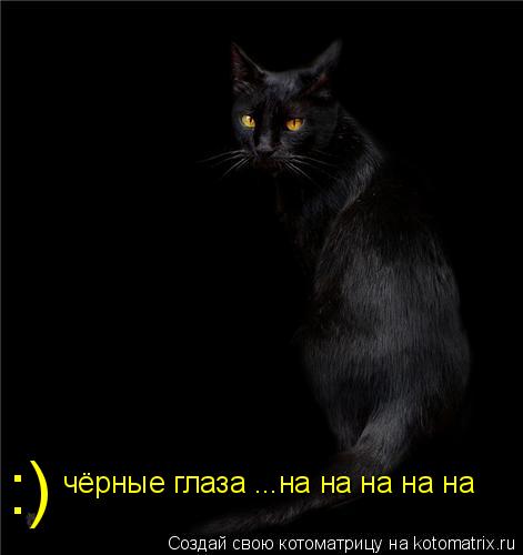 Котоматрица: чёрные глаза ...на на на на на  :)