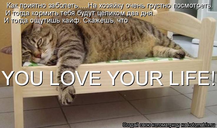 Котоматрица: Как приятно заболеть.....На хозяйку очень грустно посмотреть. И тогда кормить тебя будут целиком два дня. И тогда ощутишь кайф. Скажешь, что YOU