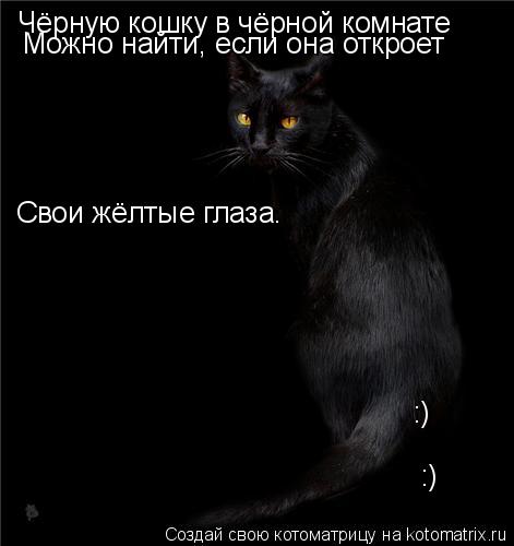Котоматрица: Чёрную кошку в чёрной комнате Можно найти, если она откроет Свои жёлтые глаза. :) :)