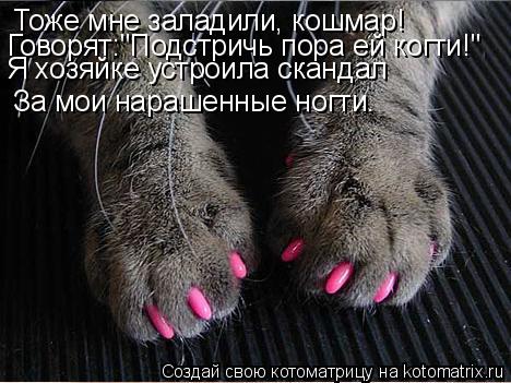 Котоматрица: Тоже мне заладили, кошмар! Говорят:"Подстричь пора ей когти!" Я хозяйке устроила скандал За мои нарашенные ногти.