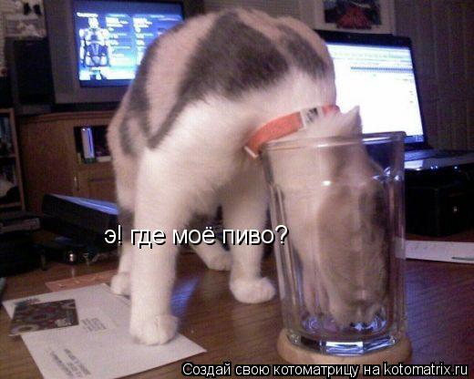 Котоматрица: э! где моё пиво?