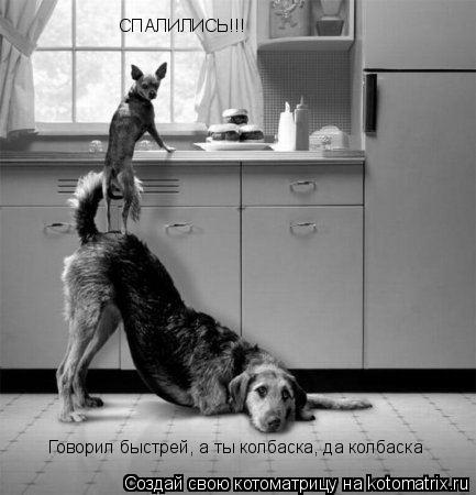 Котоматрица: СПАЛИЛИСЬ!!! Говорил быстрей, а ты колбаска, да колбаска