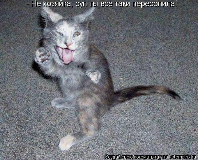 Котоматрица: - Не хозяйка, суп ты всё таки пересолила!