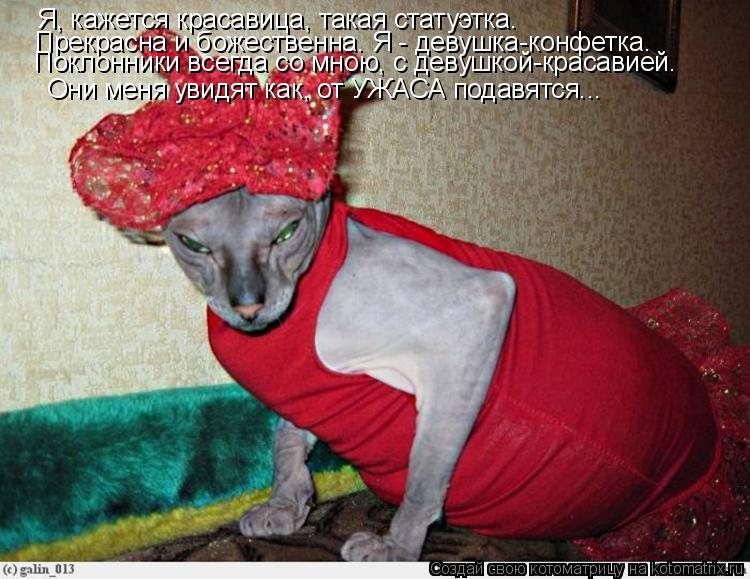 Котоматрица: Я, кажется красавица, такая статуэтка. Прекрасна и божественна. Я - девушка-конфетка. Поклонники всегда со мною, с девушкой-красавией. Они ме