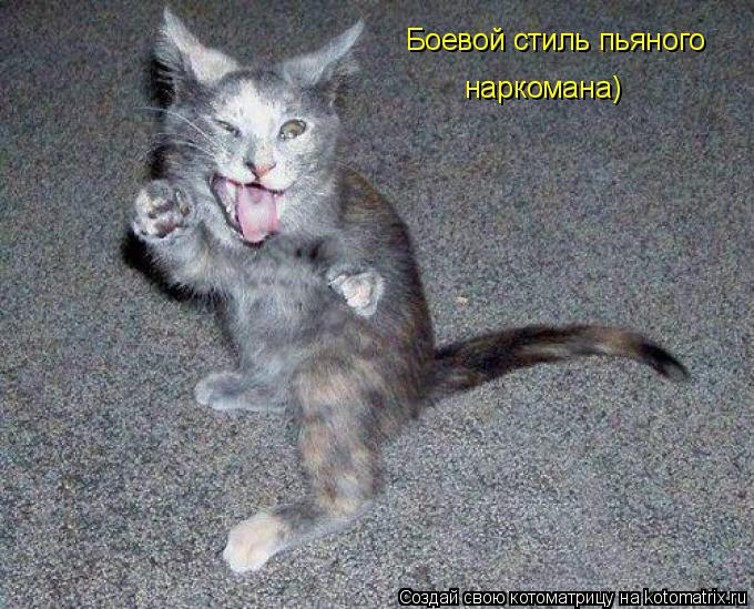 Котоматрица: Боевой стиль пьяного  наркомана)