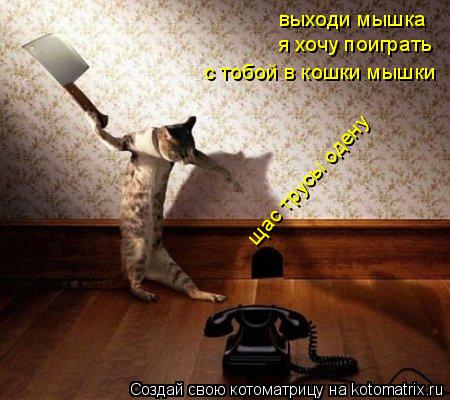 Котоматрица: выходи мышка я хочу поиграть с тобой в кошки мышки щас трусы одену