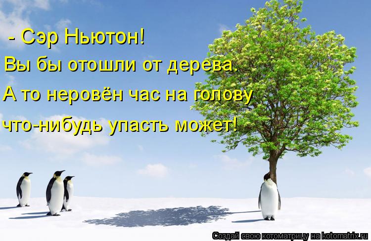 Котоматрица: - Сэр Ньютон!  Вы бы отошли от дерева.  А то неровён час на голову что-нибудь упасть может!