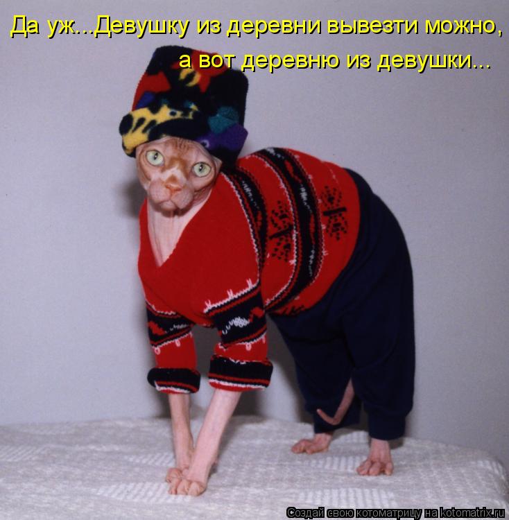 Котоматрица: Да уж...Девушку из деревни вывезти можно, а вот деревню из девушки...
