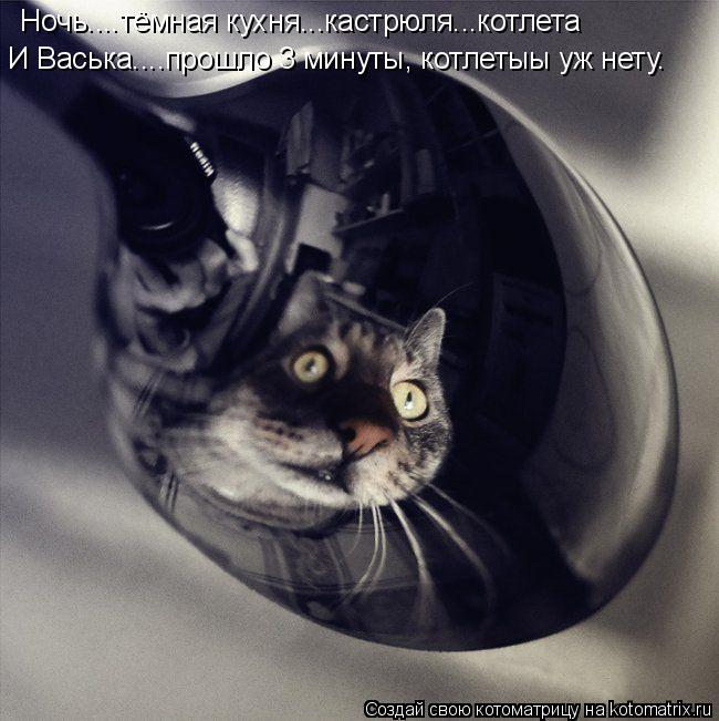 Котоматрица: Ночь....тёмная кухня...кастрюля...котлета И Васька....прошло 3 минуты, котлетыы уж нету.