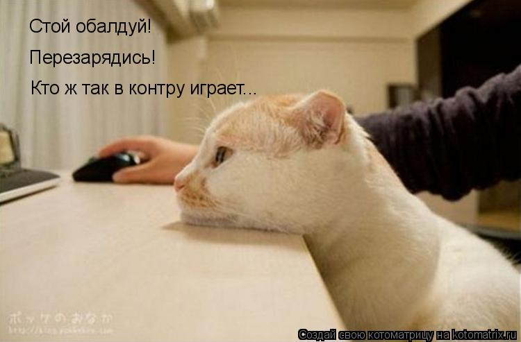Котоматрица: Стой обалдуй! Перезарядись! Кто ж так в контру играет...